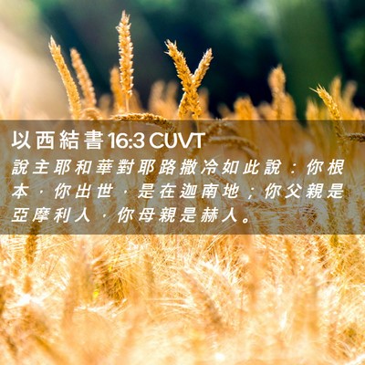 Picture 02 - 以 西 結 書 16:3 CUVT - 說 主 耶 和 華 對 耶 路 撒 冷 如 此 - Bible Verse Picture