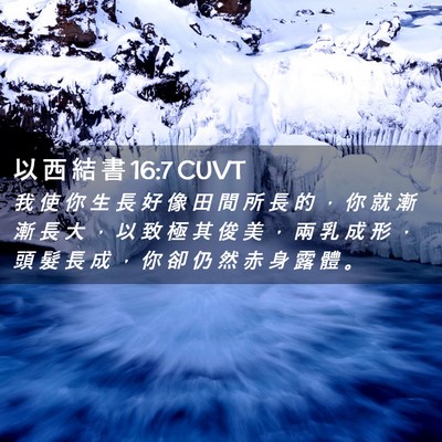 Picture 02 - 以 西 結 書 16:7 CUVT - 我 使 你 生 長 好 像 田 間 所 長 的 - Bible Verse Picture