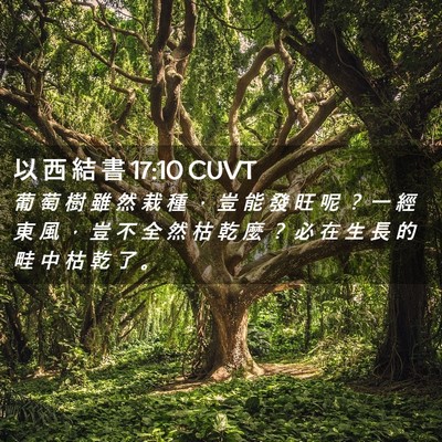 Picture 02 - 以 西 結 書 17:10 CUVT - 葡 萄 樹 雖 然 栽 種 ， 豈 能 發 旺 - Bible Verse Picture
