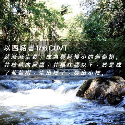 Picture 02 - 以 西 結 書 17:6 CUVT - 就 漸 漸 生 長 ， 成 為 蔓 延 矮 小 - Bible Verse Picture