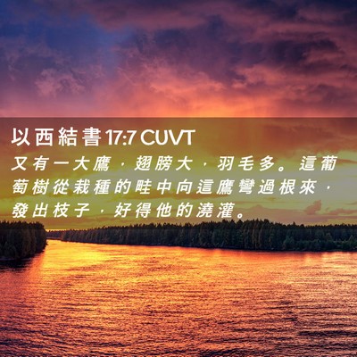Picture 02 - 以 西 結 書 17:7 CUVT - 又 有 一 大 鷹 ， 翅 膀 大 ， 羽 毛 - Bible Verse Picture