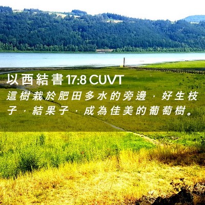 Picture 02 - 以 西 結 書 17:8 CUVT - 這 樹 栽 於 肥 田 多 水 的 旁 邊 ， - Bible Verse Picture