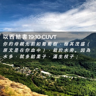 Picture 02 - 以 西 結 書 19:10 CUVT - 你 的 母 親 先 前 如 葡 萄 樹 ， 極 - Bible Verse Picture
