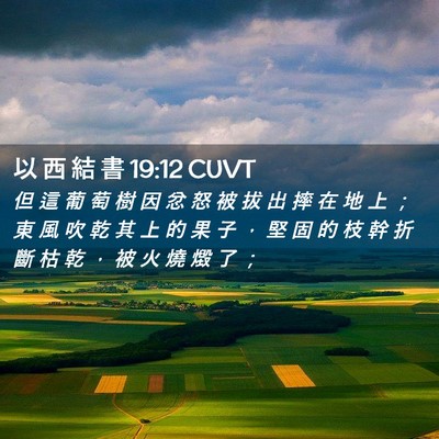 Picture 02 - 以 西 結 書 19:12 CUVT - 但 這 葡 萄 樹 因 忿 怒 被 拔 出 摔 - Bible Verse Picture