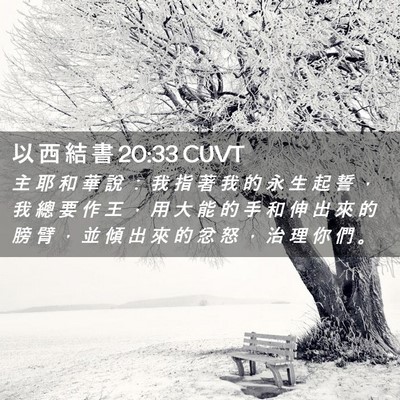 Picture 02 - 以 西 結 書 20:33 CUVT - 主 耶 和 華 說 ： 我 指 著 我 的 永 - Bible Verse Picture