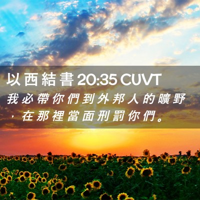 Picture 02 - 以 西 結 書 20:35 CUVT - 我 必 帶 你 們 到 外 邦 人 的 曠 野 - Bible Verse Picture