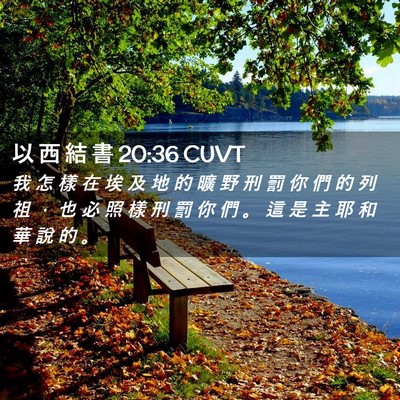 Picture 02 - 以 西 結 書 20:36 CUVT - 我 怎 樣 在 埃 及 地 的 曠 野 刑 罰 - Bible Verse Picture