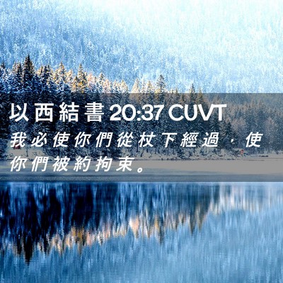 Picture 02 - 以 西 結 書 20:37 CUVT - 我 必 使 你 們 從 杖 下 經 過 ， 使 - Bible Verse Picture