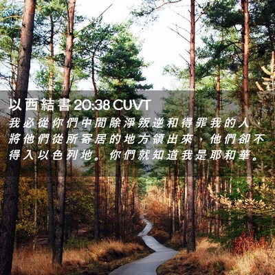 Picture 02 - 以 西 結 書 20:38 CUVT - 我 必 從 你 們 中 間 除 淨 叛 逆 和 - Bible Verse Picture