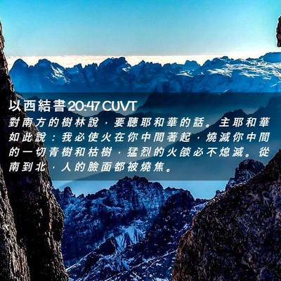 Picture 02 - 以 西 結 書 20:47 CUVT - 對 南 方 的 樹 林 說 ， 要 聽 耶 和 - Bible Verse Picture