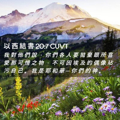 Picture 02 - 以 西 結 書 20:7 CUVT - 我 對 他 們 說 ， 你 們 各 人 要 拋 - Bible Verse Picture