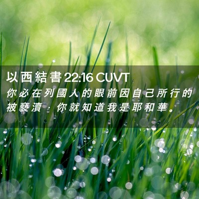 Picture 02 - 以 西 結 書 22:16 CUVT - 你 必 在 列 國 人 的 眼 前 因 自 己 - Bible Verse Picture