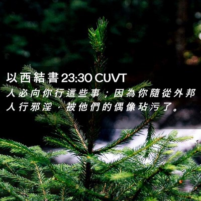 Picture 02 - 以 西 結 書 23:30 CUVT - 人 必 向 你 行 這 些 事 ； 因 為 你 - Bible Verse Picture