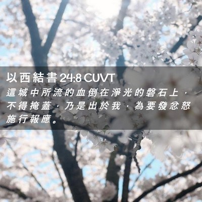 Picture 02 - 以 西 結 書 24:8 CUVT - 這 城 中 所 流 的 血 倒 在 淨 光 的 - Bible Verse Picture