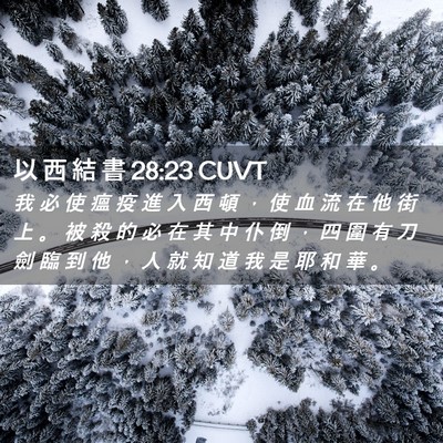 Picture 02 - 以 西 結 書 28:23 CUVT - 我 必 使 瘟 疫 進 入 西 頓 ， 使 血 - Bible Verse Picture