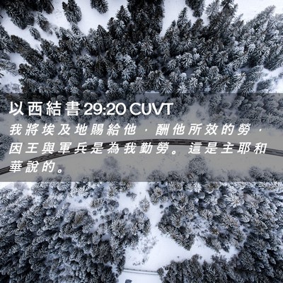 Picture 02 - 以 西 結 書 29:20 CUVT - 我 將 埃 及 地 賜 給 他 ， 酬 他 所 - Bible Verse Picture