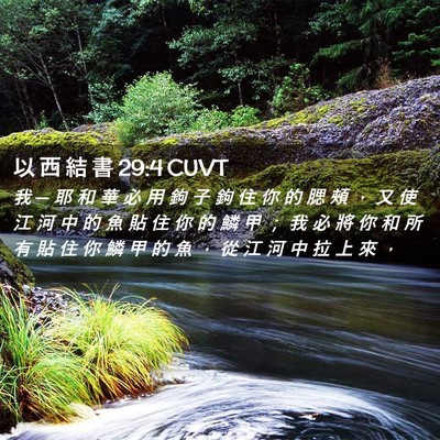 Picture 02 - 以 西 結 書 29:4 CUVT - 我 ─ 耶 和 華 必 用 鉤 子 鉤 住 你 - Bible Verse Picture
