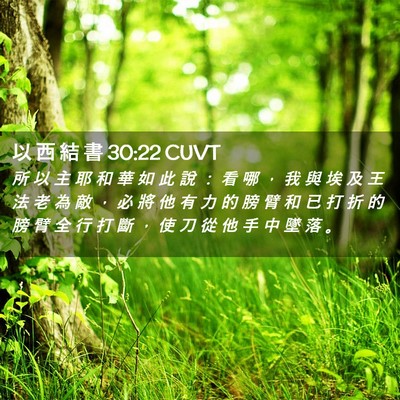 Picture 02 - 以 西 結 書 30:22 CUVT - 所 以 主 耶 和 華 如 此 說 ： 看 哪 - Bible Verse Picture