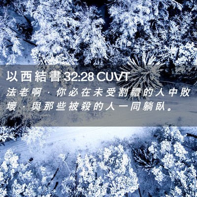 Picture 02 - 以 西 結 書 32:28 CUVT - 法 老 啊 ， 你 必 在 未 受 割 禮 的 - Bible Verse Picture