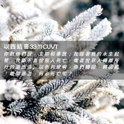 Picture 02 - 以 西 結 書 33:11 CUVT - 你 對 他 們 說 ， 主 耶 和 華 說 ： - Bible Verse Picture