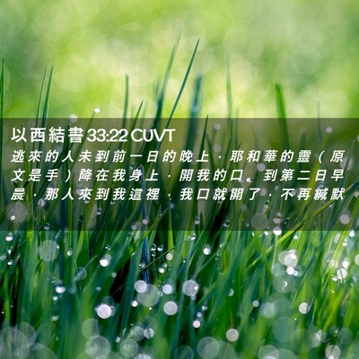 Picture 02 - 以 西 結 書 33:22 CUVT - 逃 來 的 人 未 到 前 一 日 的 晚 上 - Bible Verse Picture