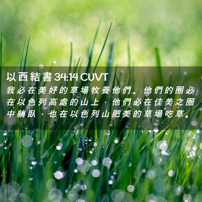 Picture 02 - 以 西 結 書 34:14 CUVT - 我 必 在 美 好 的 草 場 牧 養 他 們 - Bible Verse Picture