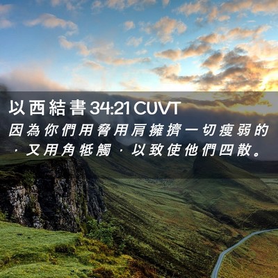 Picture 02 - 以 西 結 書 34:21 CUVT - 因 為 你 們 用 脅 用 肩 擁 擠 一 切 - Bible Verse Picture