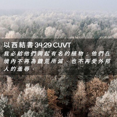 Picture 02 - 以 西 結 書 34:29 CUVT - 我 必 給 他 們 興 起 有 名 的 植 物 - Bible Verse Picture