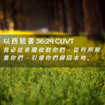 Picture 02 - 以 西 結 書 36:24 CUVT - 我 必 從 各 國 收 取 你 們 ， 從 列 - Bible Verse Picture