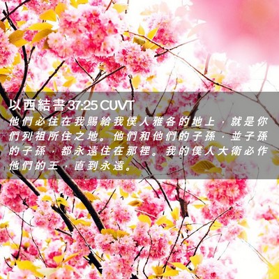 Picture 02 - 以 西 結 書 37:25 CUVT - 他 們 必 住 在 我 賜 給 我 僕 人 雅 - Bible Verse Picture