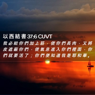 Picture 02 - 以 西 結 書 37:6 CUVT - 我 必 給 你 們 加 上 筋 ， 使 你 們 - Bible Verse Picture