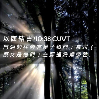 Picture 02 - 以 西 結 書 40:38 CUVT - 門 洞 的 柱 旁 有 屋 子 和 門 ； 祭 - Bible Verse Picture