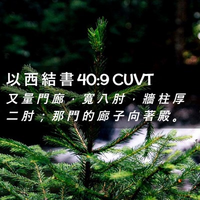 Picture 02 - 以 西 結 書 40:9 CUVT - 又 量 門 廊 ， 寬 八 肘 ， 牆 柱 厚 - Bible Verse Picture