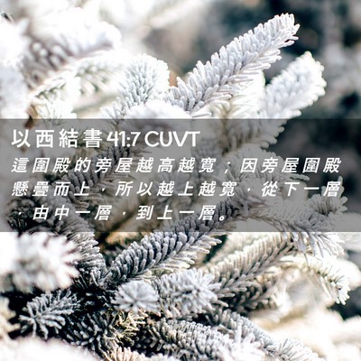 Picture 02 - 以 西 結 書 41:7 CUVT - 這 圍 殿 的 旁 屋 越 高 越 寬 ； 因 - Bible Verse Picture