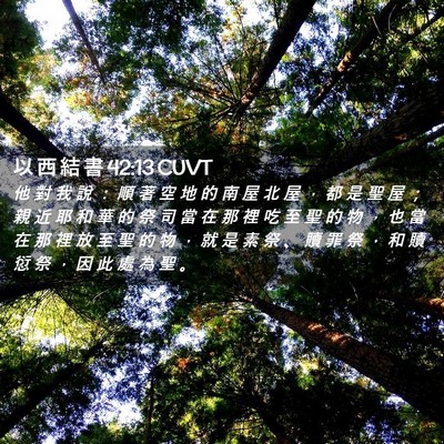 Picture 02 - 以 西 結 書 42:13 CUVT - 他 對 我 說 ： 順 著 空 地 的 南 屋 - Bible Verse Picture