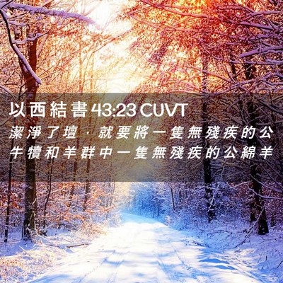 Picture 02 - 以 西 結 書 43:23 CUVT - 潔 淨 了 壇 ， 就 要 將 一 隻 無 殘 - Bible Verse Picture