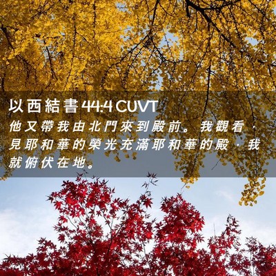 Picture 02 - 以 西 結 書 44:4 CUVT - 他 又 帶 我 由 北 門 來 到 殿 前 。 - Bible Verse Picture