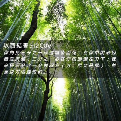 Picture 02 - 以 西 結 書 5:12 CUVT - 你 的 民 三 分 之 一 必 遭 瘟 疫 而 - Bible Verse Picture
