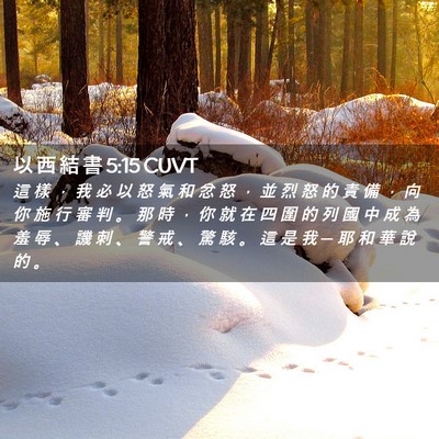 Picture 02 - 以 西 結 書 5:15 CUVT - 這 樣 ， 我 必 以 怒 氣 和 忿 怒 ， - Bible Verse Picture