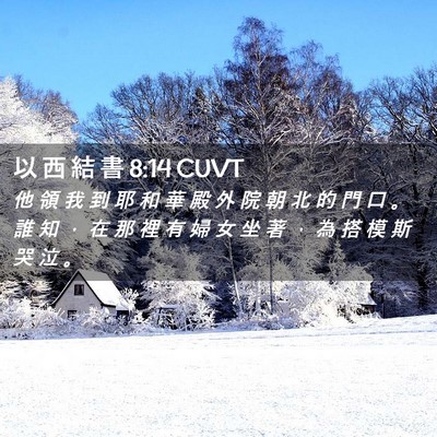 Picture 02 - 以 西 結 書 8:14 CUVT - 他 領 我 到 耶 和 華 殿 外 院 朝 北 - Bible Verse Picture