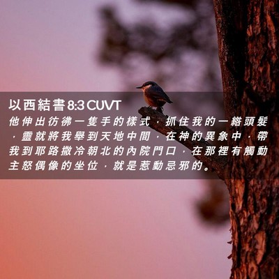 Picture 02 - 以 西 結 書 8:3 CUVT - 他 伸 出 彷 彿 一 隻 手 的 樣 式 ， - Bible Verse Picture