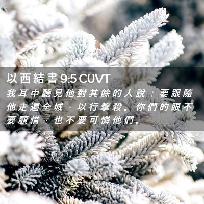Picture 02 - 以 西 結 書 9:5 CUVT - 我 耳 中 聽 見 他 對 其 餘 的 人 說 - Bible Verse Picture