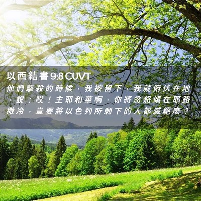 Picture 02 - 以 西 結 書 9:8 CUVT - 他 們 擊 殺 的 時 候 ， 我 被 留 下 - Bible Verse Picture