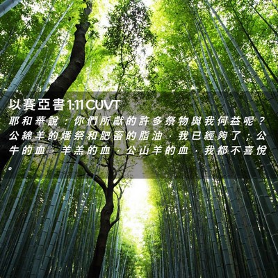 Picture 02 - 以 賽 亞 書 1:11 CUVT - 耶 和 華 說 ： 你 們 所 獻 的 許 多 - Bible Verse Picture