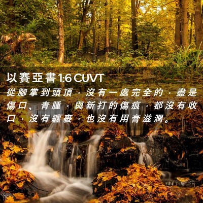 Picture 02 - 以 賽 亞 書 1:6 CUVT - 從 腳 掌 到 頭 頂 ， 沒 有 一 處 完 - Bible Verse Picture
