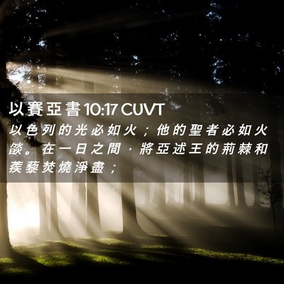 Picture 02 - 以 賽 亞 書 10:17 CUVT - 以 色 列 的 光 必 如 火 ； 他 的 聖 - Bible Verse Picture