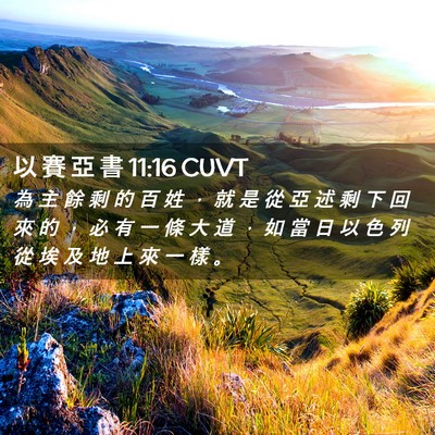 Picture 02 - 以 賽 亞 書 11:16 CUVT - 為 主 餘 剩 的 百 姓 ， 就 是 從 亞 - Bible Verse Picture