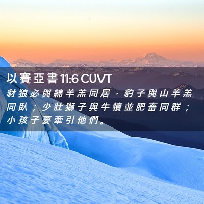 Picture 02 - 以 賽 亞 書 11:6 CUVT - 豺 狼 必 與 綿 羊 羔 同 居 ， 豹 子 - Bible Verse Picture