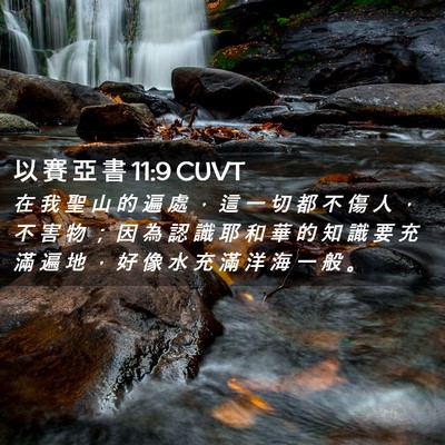 Picture 02 - 以 賽 亞 書 11:9 CUVT - 在 我 聖 山 的 遍 處 ， 這 一 切 都 - Bible Verse Picture
