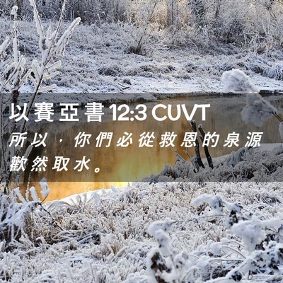 Picture 02 - 以 賽 亞 書 12:3 CUVT - 所 以 ， 你 們 必 從 救 恩 的 泉 源 - Bible Verse Picture